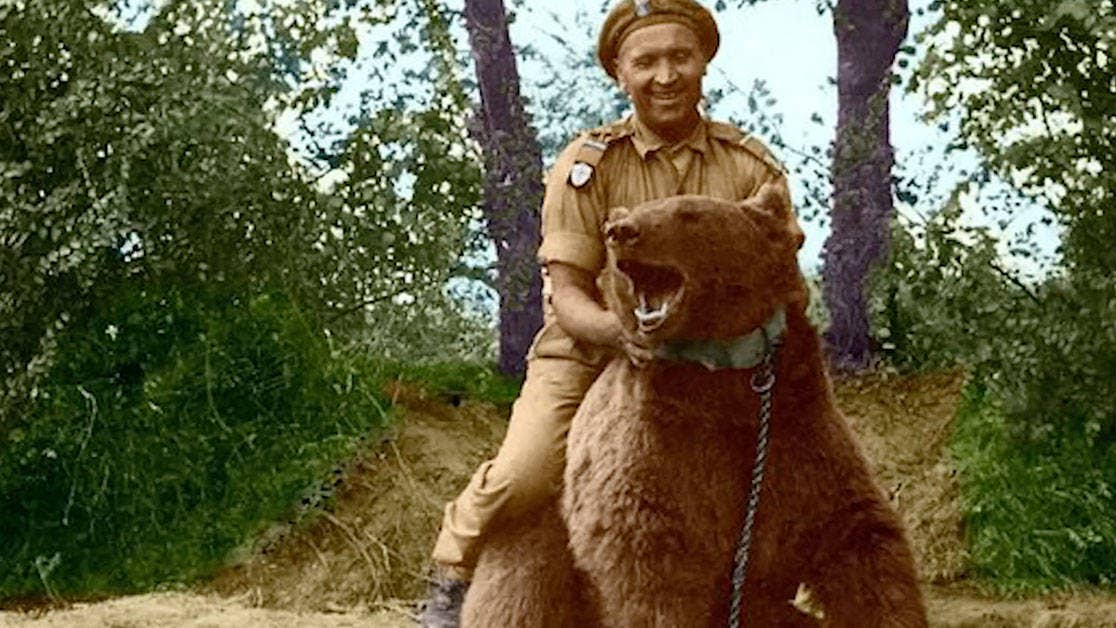 Corporal Wojtek: the 440-pound bear who drank, smoked, and carried munitions