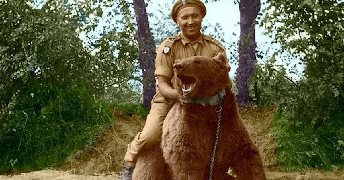 Corporal Wojtek: the 440-pound bear who drank, smoked, and carried munitions