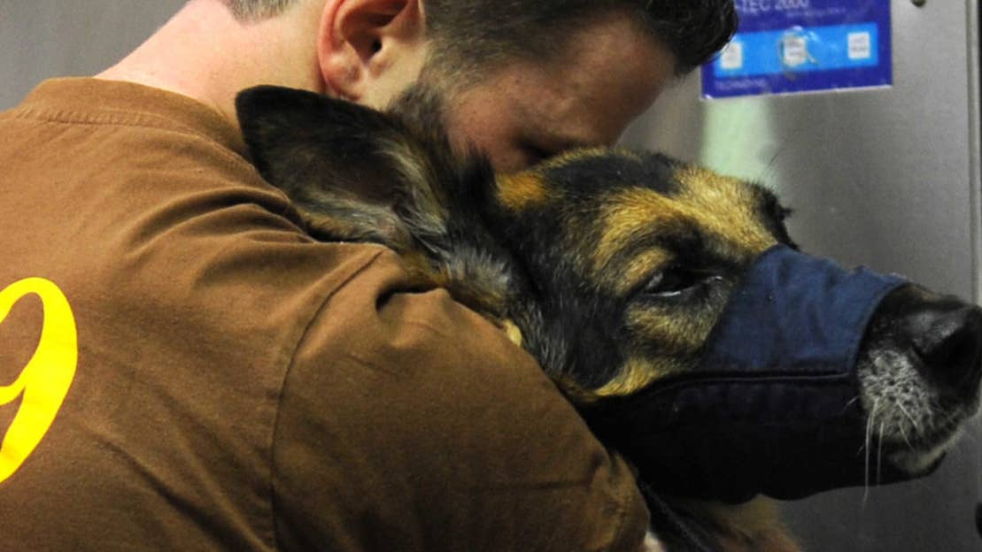 The amazing way the military says goodbye to working dogs