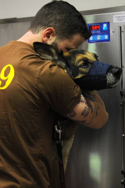 Brix, a retired Navy MWD, is comforted by Navy Master-at-Arms 2nd Class Drew Risley before Brix's euthanization. Brix earned the Navy and Marine Corps Achievement Medal and the Army Commendation Medal in Iraq. (U.S Air Force photo by Senior Airman Tristin English)
