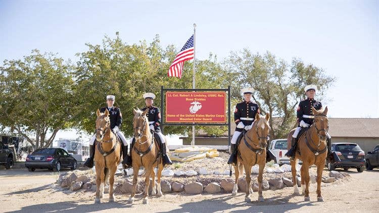 The Marine Corps' Mounted Color Guard pose for a portrait at the stables. Left to right: Sgt. Monica Hilpisch, Sgt. Moses Machuca, Sgt. Terry Barker and Sgt. Jacob Cummins. (U.S. Marine Corps photo by Carlos Guerra)