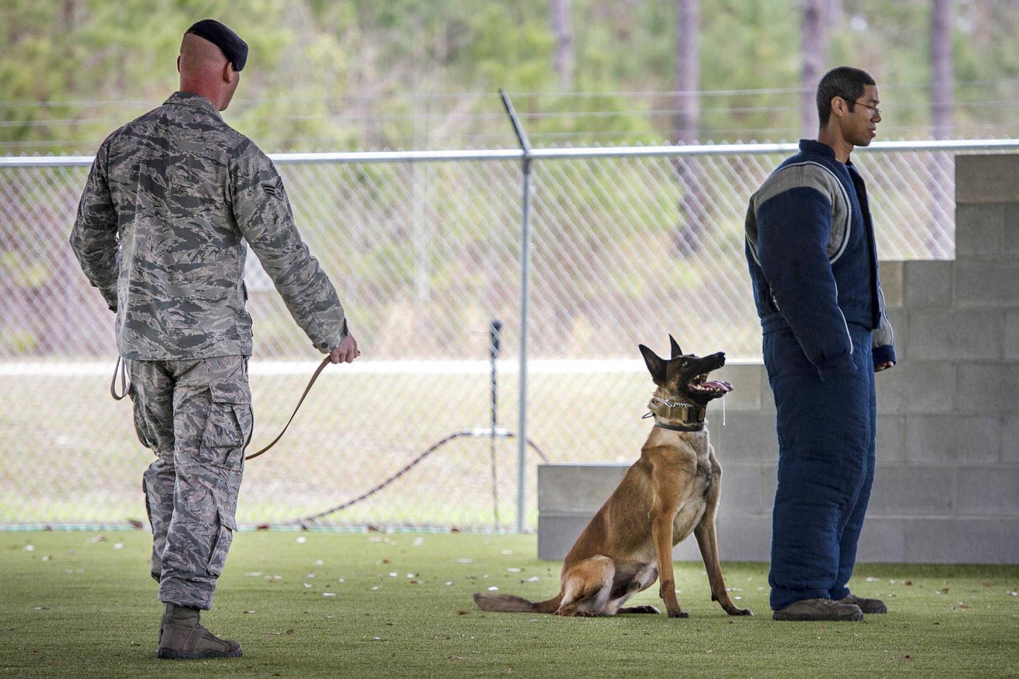 Air Force Senior Airman Anthony Hayes, left, commands Ttoby, a military working dog, to stand down during a demonstration at Moody Air Force Base, Ga., Feb. 2, 2017. Hayes is a military dog handler assigned to the 23d Security Forces Squadron. Ttoby is a Belgian Malinois and specializes in personnel protection and detecting explosives, trained as a military dog at Joint Base San Antonio-Lackland, Texas. (Air Force photo by Tech. Sgt. Zachary Wolf)