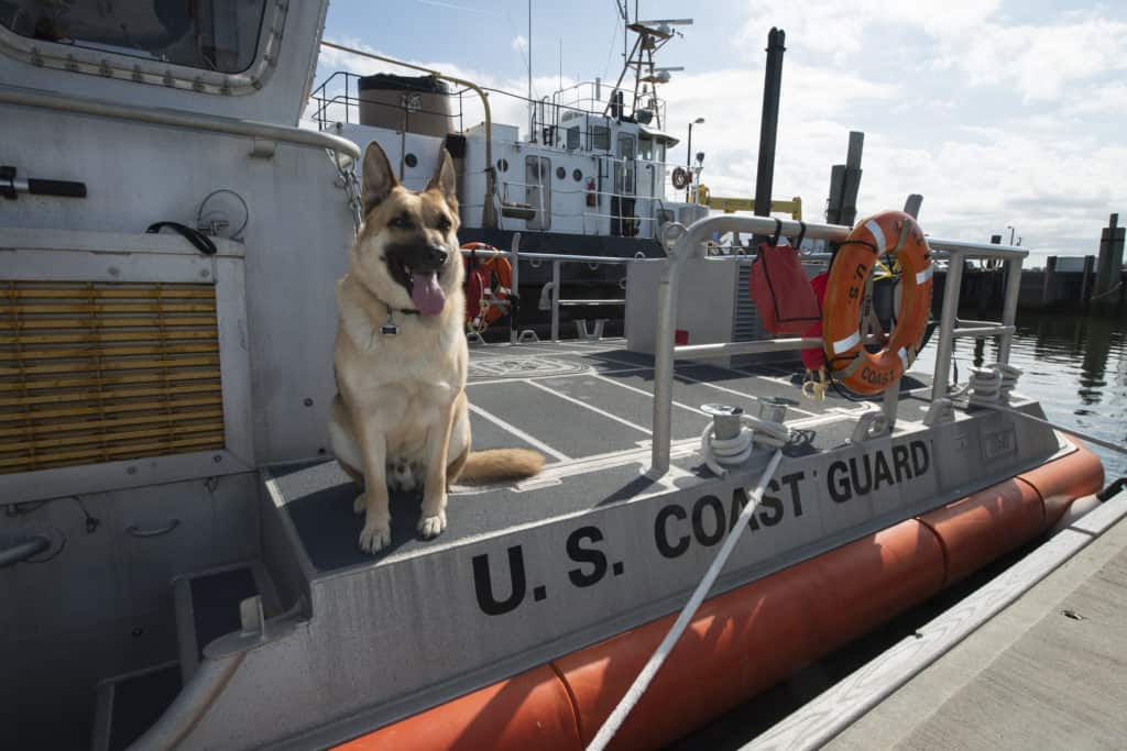 U.S. Coast Guard photo by Petty Officer 3rd Class Jasmine Mieszala