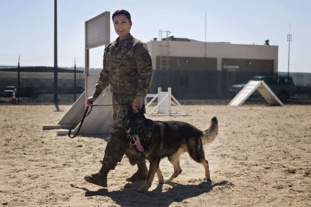 Army Pfc. Elizabeth Adrian walks with her military working dog, Freddy, during a demonstration at Camp Arifjan, Kuwait, March 7, 2017. Adrian is a military working dog handler assigned to the Directorate of Emergency Services in Kuwait. (U.S. Army photo by Staff Sgt. Dalton Smith)