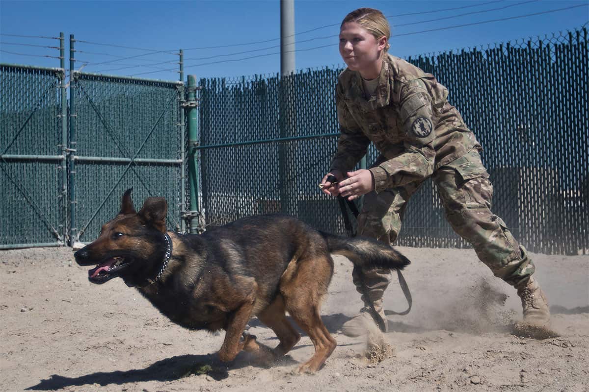 US Army photo by Staff Sgt. Dalton Smith