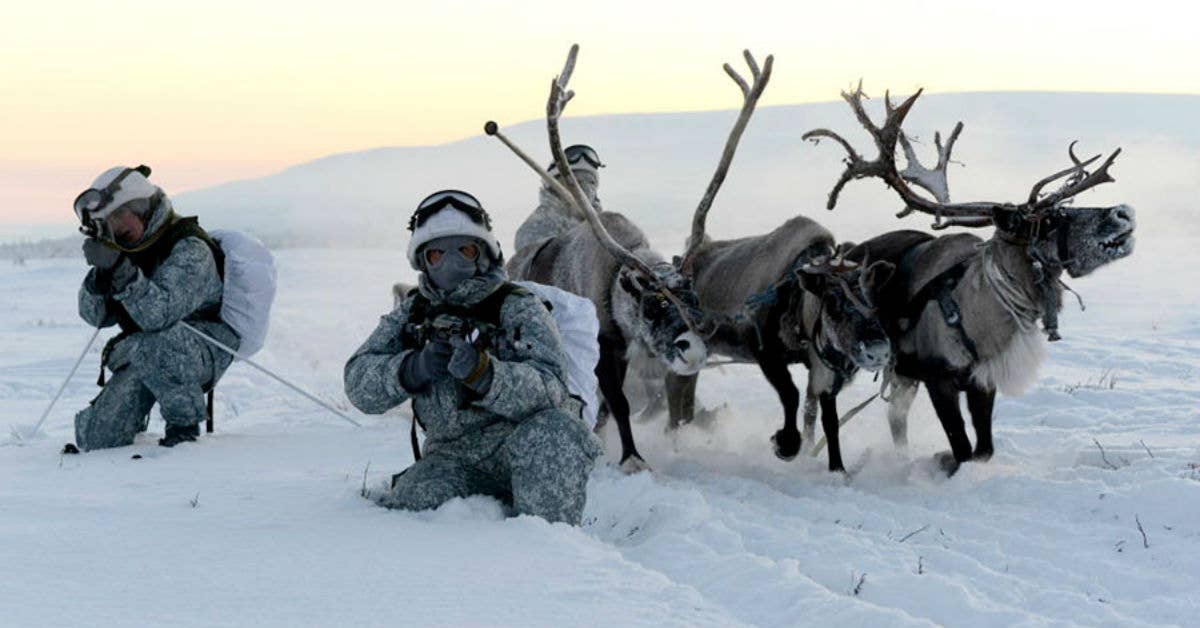 The Russians are using tactical reindeer to patrol the arctic
