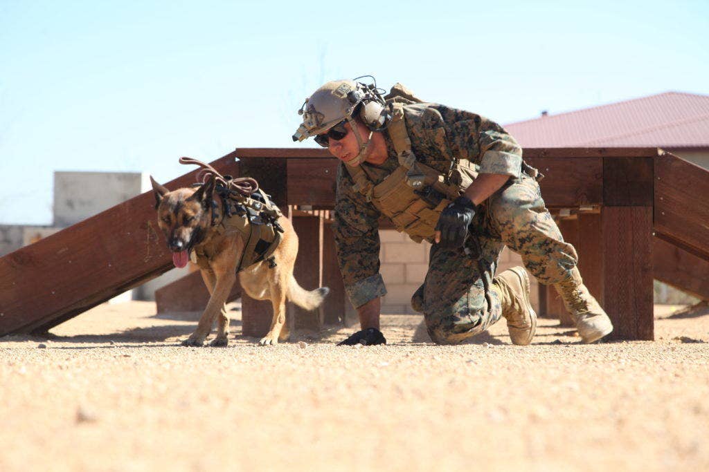 A U.S. Marine with Marine Corps Forces Special Operations Command (MARSOC) crawls under an obstacle with a MARSOC canine during the MARSOC Multi-Purpose canine subject matter expert exchange conference on Camp Pendleton, Calif., Feb. 4, 2016. MARSOC specializes in direct action, special reconnaissance and foreign internal defense and has also been directed to conduct counter-terrorism and information operations. (U.S. Marine Corps photo by Cpl. Tyler S. Dietrich, MCIWEST-MCB CamPen Combat Camera/Released)