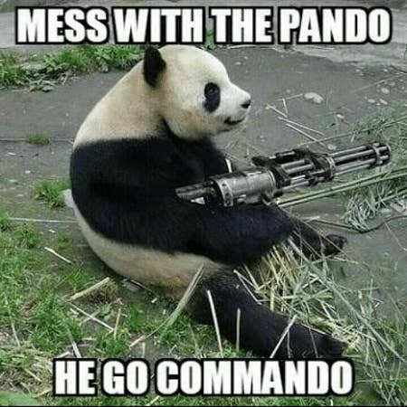 Because apparently you can't use a cartoon panda holding a rifle on skis as your official heraldry. (Image via KnowYourMeme)
