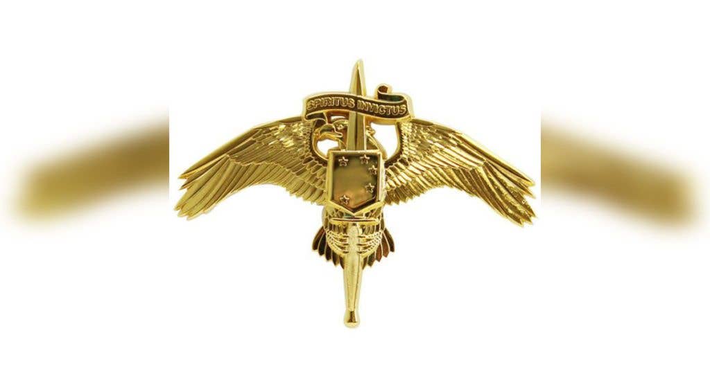 The badass MARSOC insignia pin. (Image from VanguardMil.com)