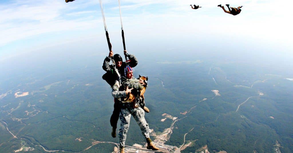 Don't let this dog out-airborne you, leg. (U.S. Army photo by Sgt. Vince Vander Maarel)