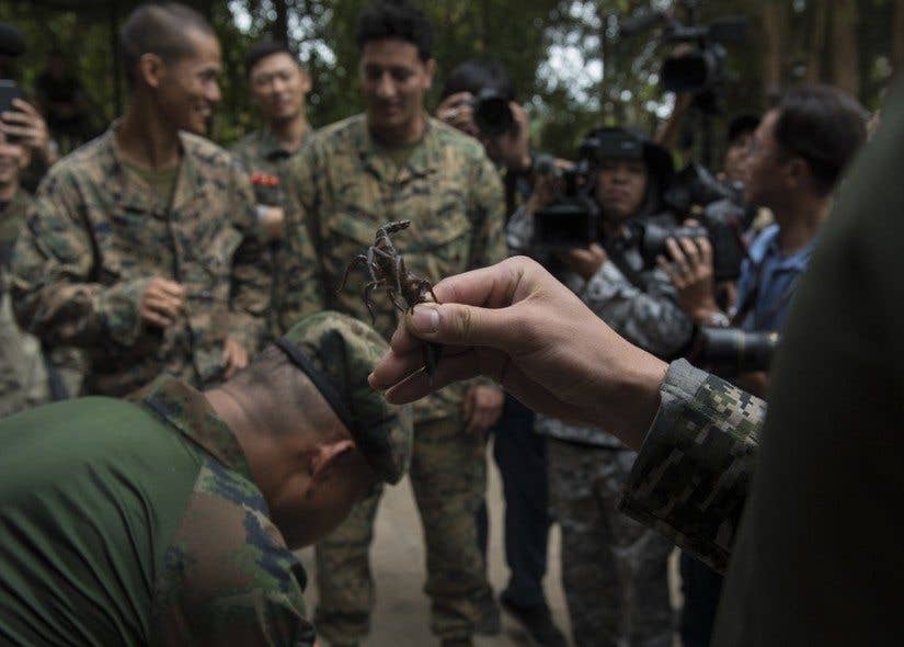 South Korea Marine Corps Staff Sgt. Choelryoong Wyang holds a scorpion while U.S. Marine Corps Cpl. Alan Bounyasith, left, a 3rd Marine Division, reconnaissance Marine from Marietta, Ga., and Marine Corps Sgt. Leo Briseno, a 3rd Marine Division reconnaissance Marine from Corpus Christi, Texas, prepare to eat a scorpion during jungle survival training in Sattahip, Thailand, Feb. 19, 2018. (Air Force photo by Staff Sgt. Micaiah Anthony)