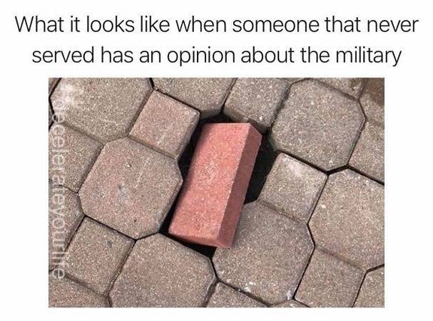 Anyone who thinks any troops have feelings immediately loses their right to be heard. (Meme via Decelerate your Life)
