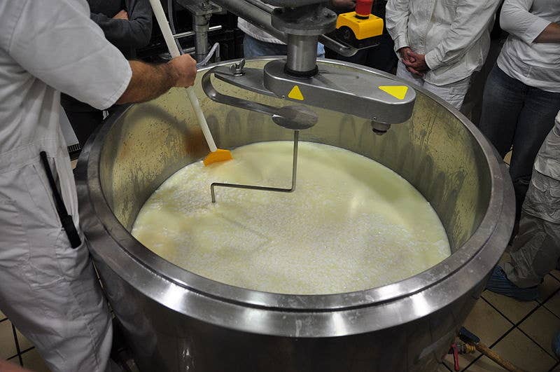 Workers at a protein manufacturing plant separate the curd from the whey.