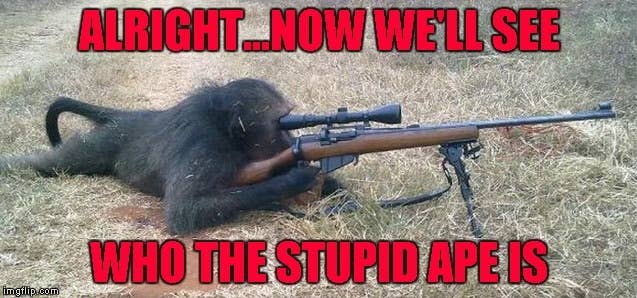 stupid ape sniper