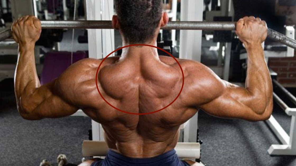 4 killer exercises that will get those traps ripped