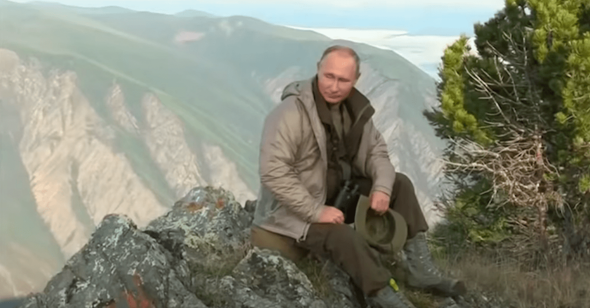 New Russian propaganda claims bears are afraid of Putin