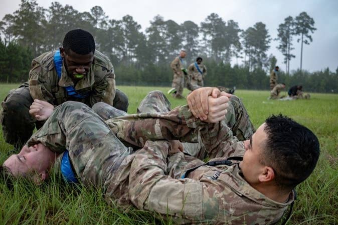 Soldiers wrestling. A blue falcon likes to cause problems