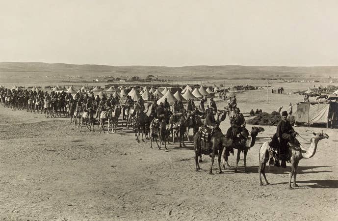 ottoman feral camels