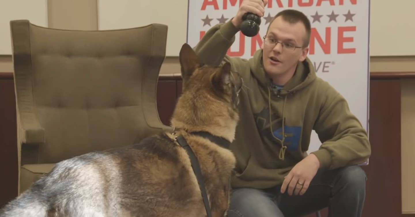 See the moment a military working dog is reunited with handler