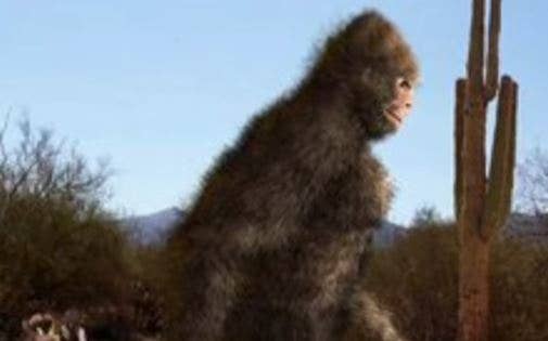 Unlike traditional Bigfoot sightings, the Yucca Man was said to be "huge, scary, aggressive, fast and threatening."