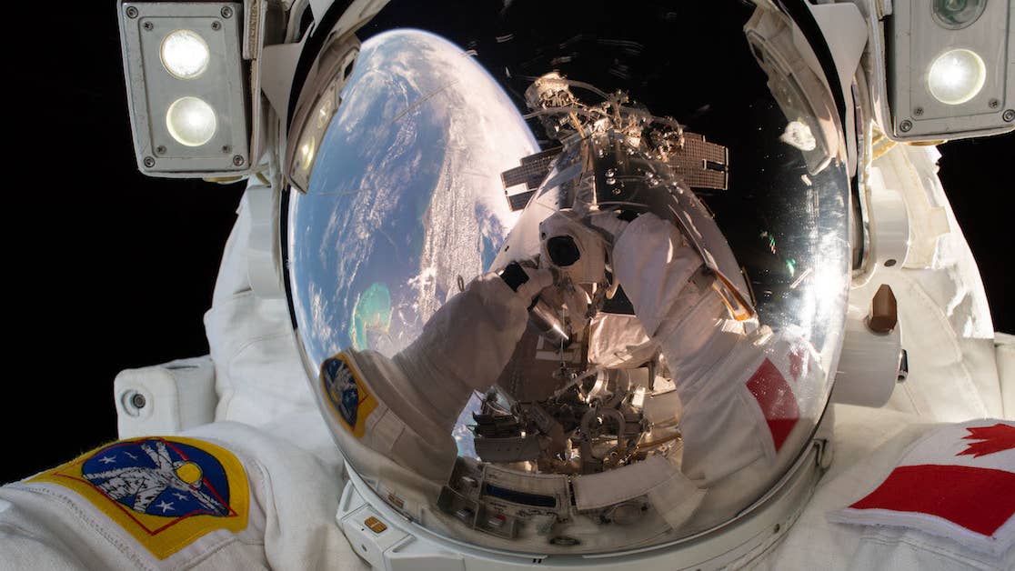 &#8216;Twins Study&#8217; reveals what happens to human genes in space