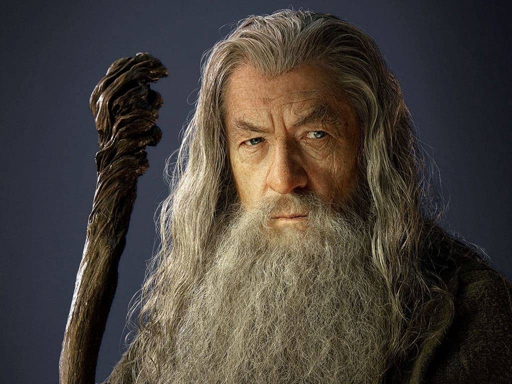 The Last Ringbearer actually accuses Gandalf of "crafting the Final Solution to the Mordorian problem." (New Line Cinema)