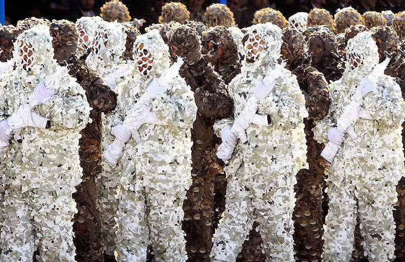 We're pretty sure they make their ghillie suits out of confetti though.<br>(Javad Hadi via WikiMedia Commons)