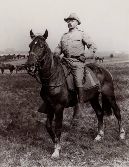 teddy roosevelt in the army