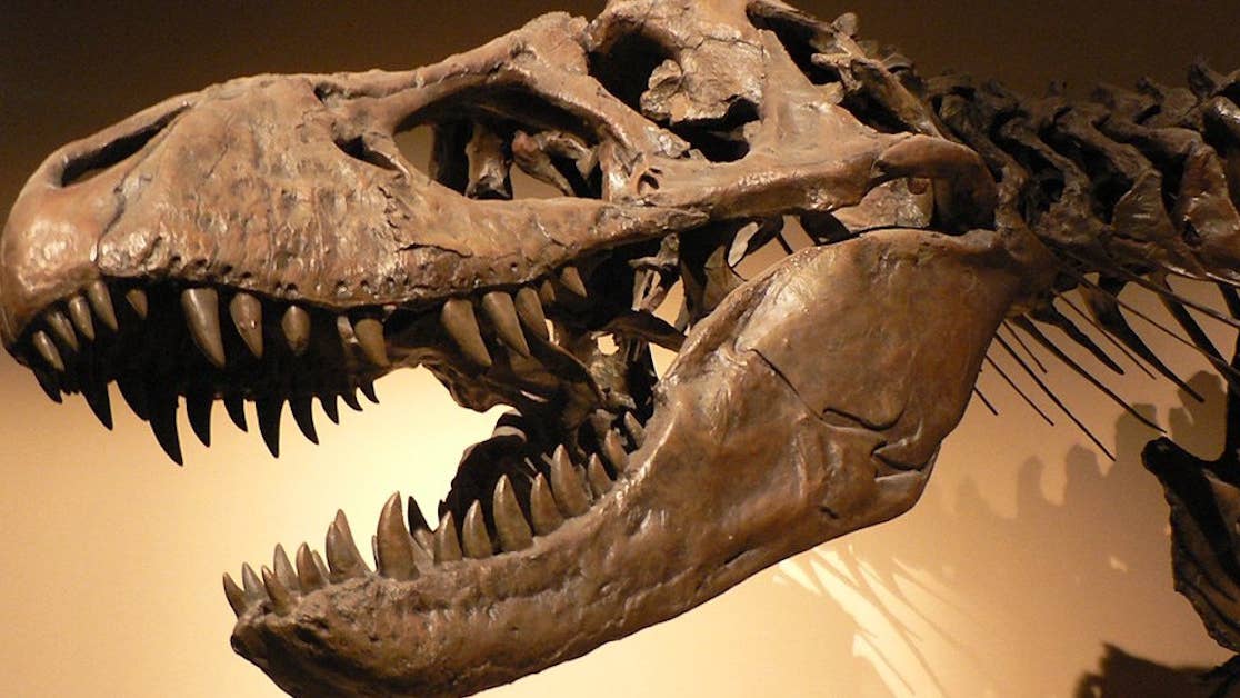 From dragons to giants, here&#8217;s what people first thought of dinosaur bones