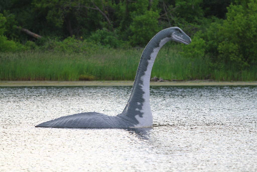 New study suggests Loch Ness Monster may actually be a giant eel