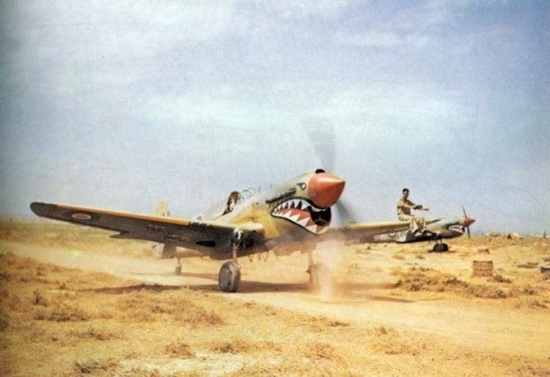 p-40 in Tunisia