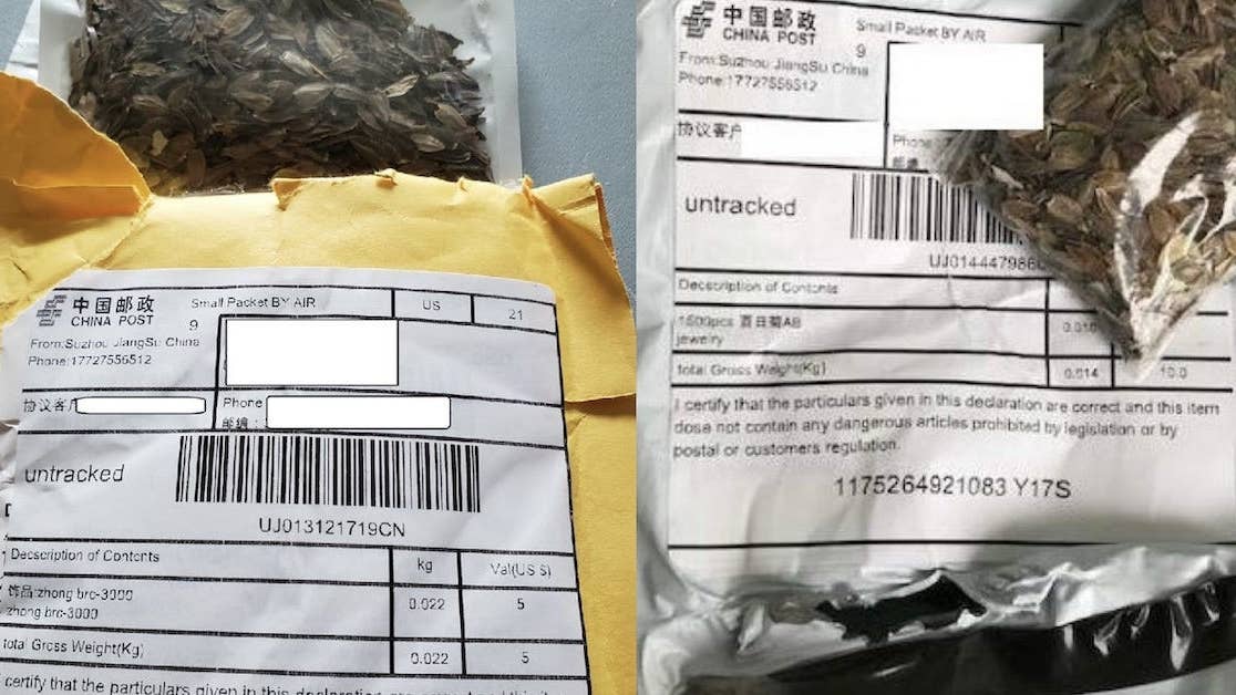 Mysterious Chinese seed packets are showing up all over the US, and the government is warning people not to plant them