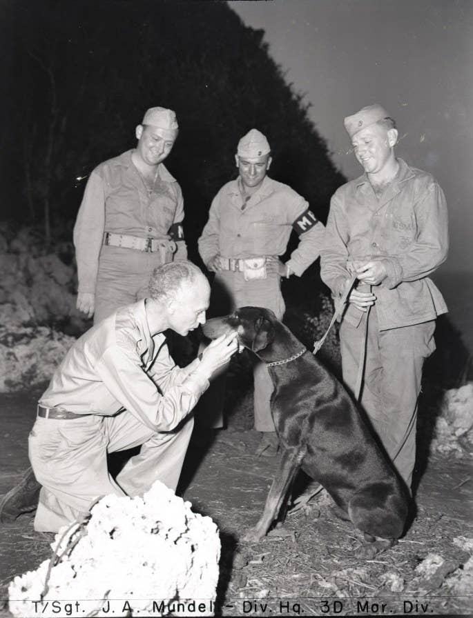 Ernie Pyle visits Leathernecks of the 3rd Marine Division, where, along with talking to the veterans of the fight on Bougainville and Guam, he observed the famous Marine Corps war dogs for the first time on Jan. 24, 1945. Shown here talking to "Jeep," a scout and security patrol Doberman pinscher. Photo by TSgt. J. Mundell, courtesy of the <a href="https://unwritten-record.blogs.archives.gov/2018/04/18/spotlight-remembering-ernie-pyle/" target="_blank" rel="noreferrer noopener">National Archives</a>.