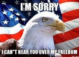freedom american flag memes