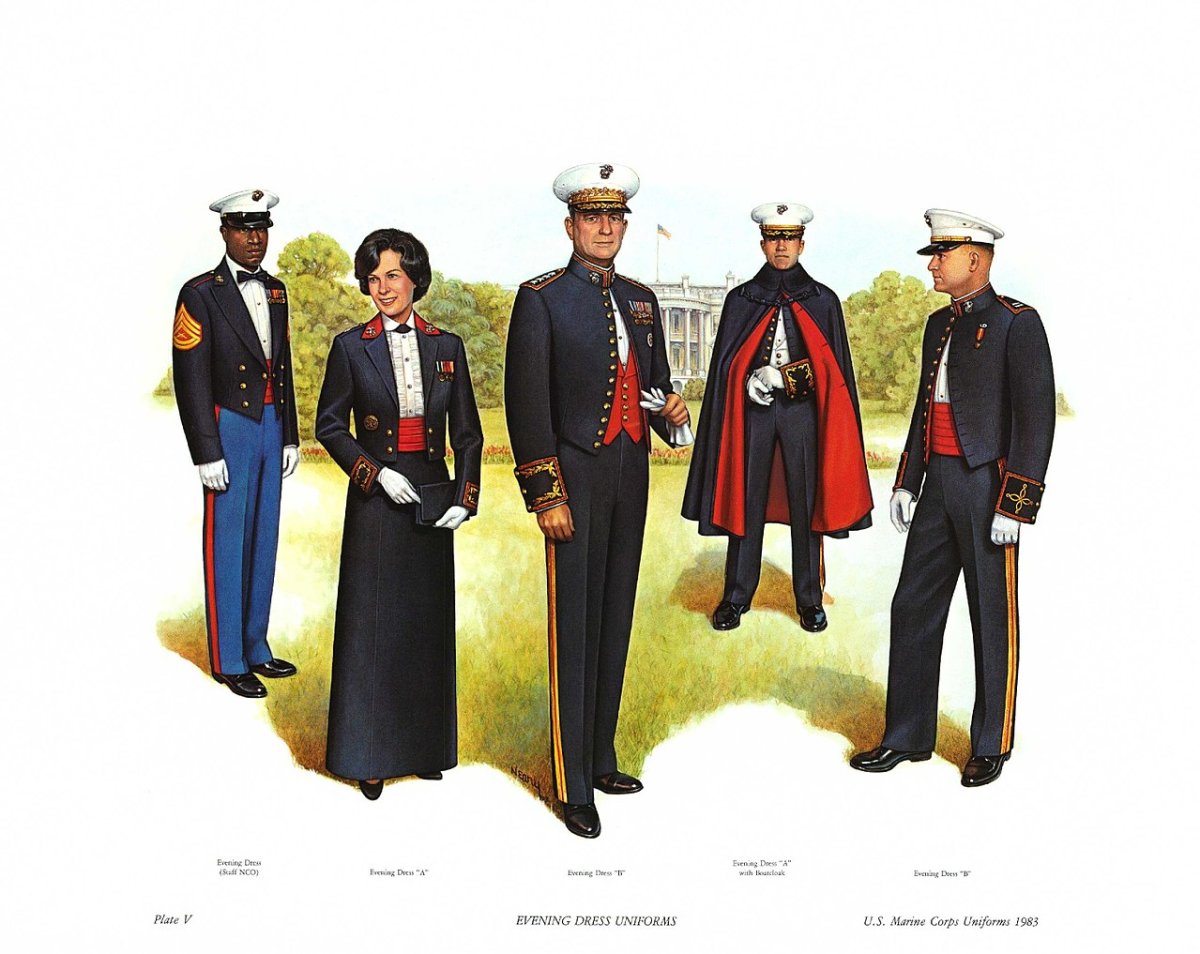 marine mess dress Moth Hoodie Dress main image 0