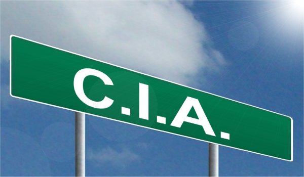 These are the differences between the FBI and CIA