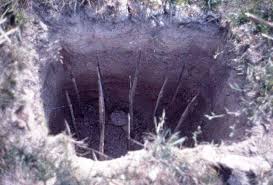 vietnam war tiger trap marine corps