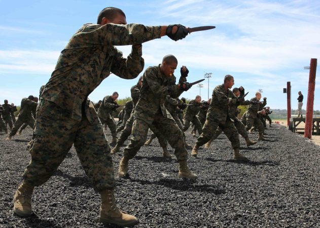 This is the history for each military branch’s battle cry