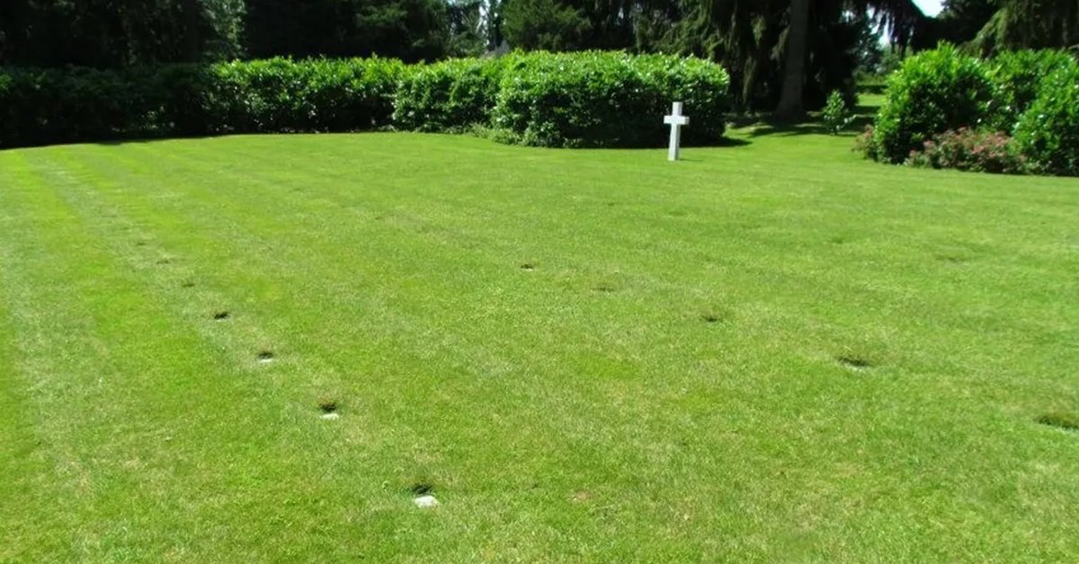 This cemetery is the final resting place for the Army’s ‘dishonorable dead’