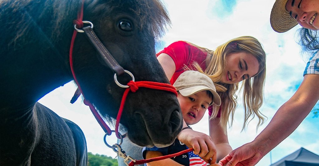 air force mwr horses dvids