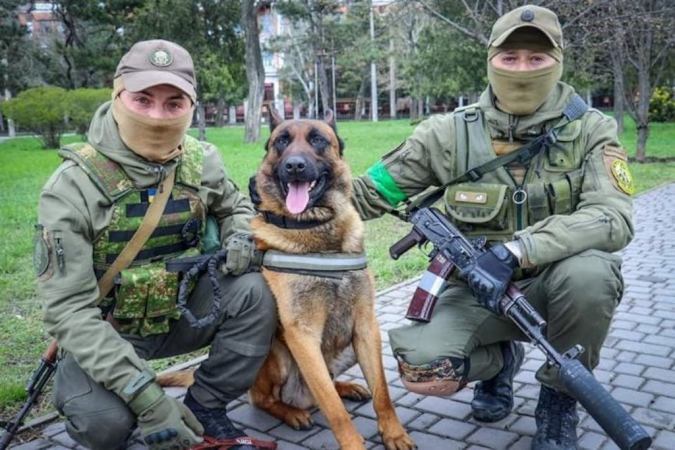Russian forces abandoned this dog, now he’s serving with Ukraine
