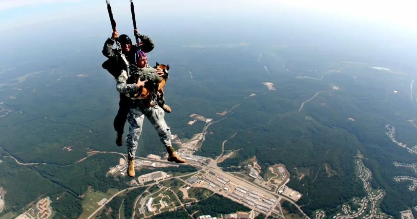 That time the Air Force used bears as ejection seat dummies