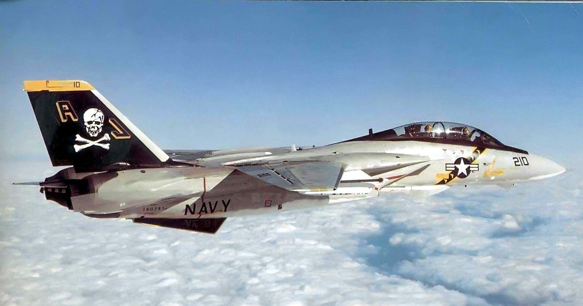 F-14 Tomcat jet fighter