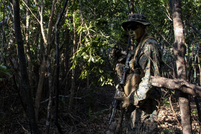 This is what makes Marine scout snipers so deadly