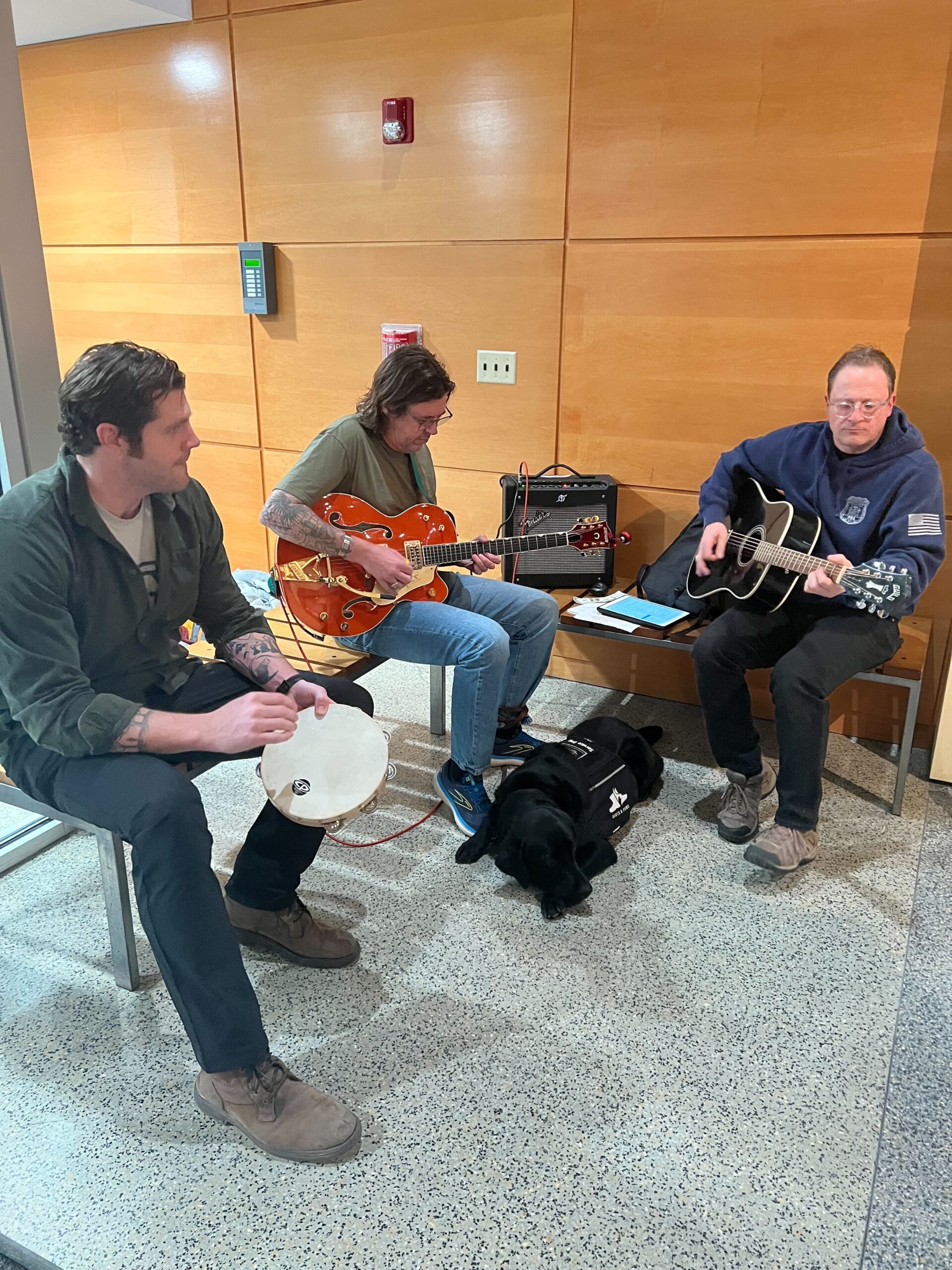 brian, dave, and alex guardian encore