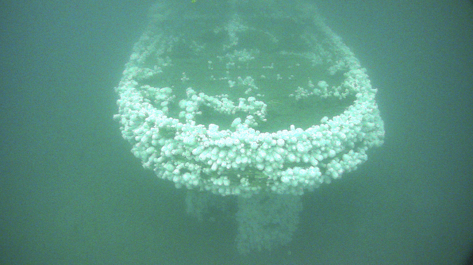 USS Conestoga wreck
