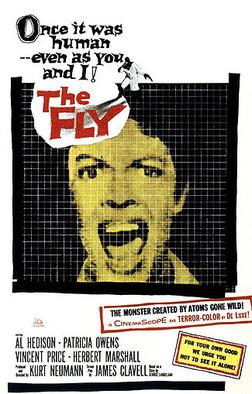 the fly poster