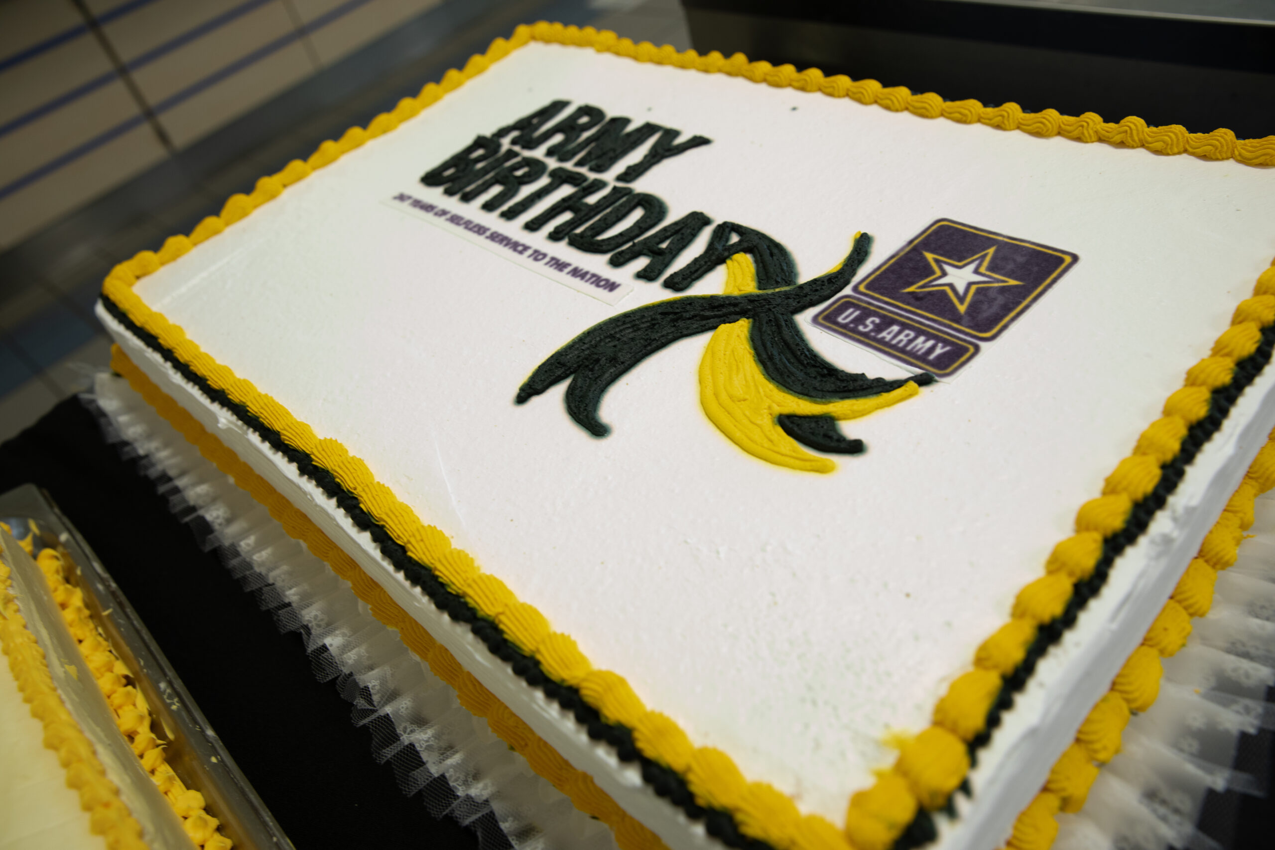 army birthday cake