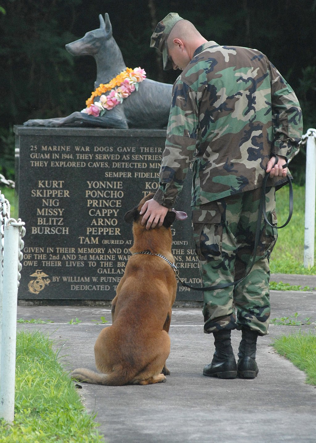 handler and canine in ceremony