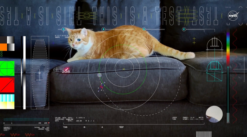 NASA beams first video from deep space… of a cat named Taters
